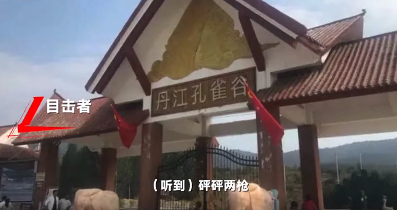 南阳2只老虎咬死饲养员出逃被击毙 目击者：听到砰砰两枪 有救护车在场