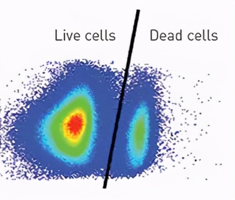 实用干货：如何用流式鉴别细胞死活