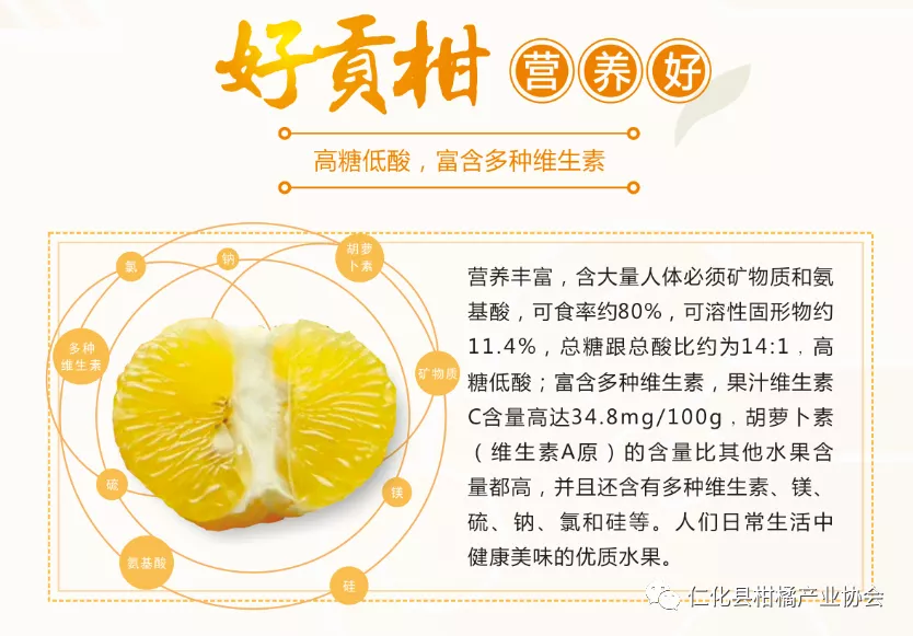 不看不知道!原来丹霞贡柑有这么多秘密!你吃对了吗?