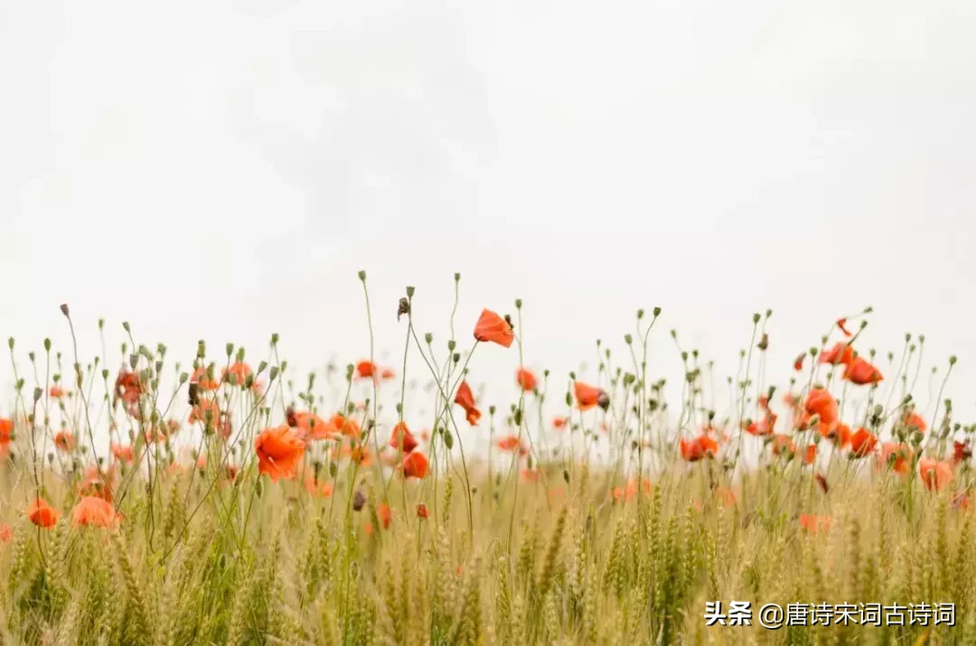 35句励志经典诗词，选一个作为你的座右铭-第3张图片-诗句网