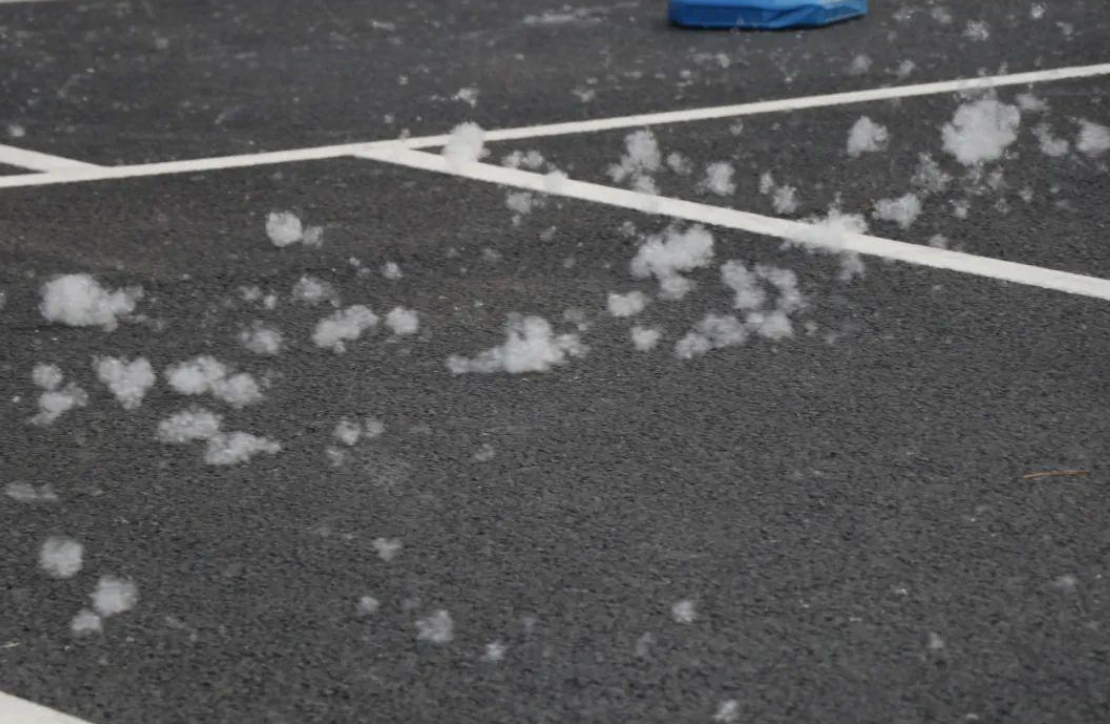 北京又在飞絮了！为什么不把杨柳树换掉？看了