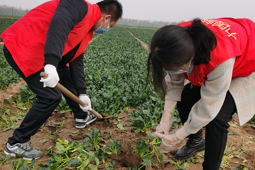 寒风料峭送春暖，全省多地邮政企业开展学雷锋活动