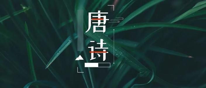 唐诗七言绝句精选-第12张图片-非凡网
