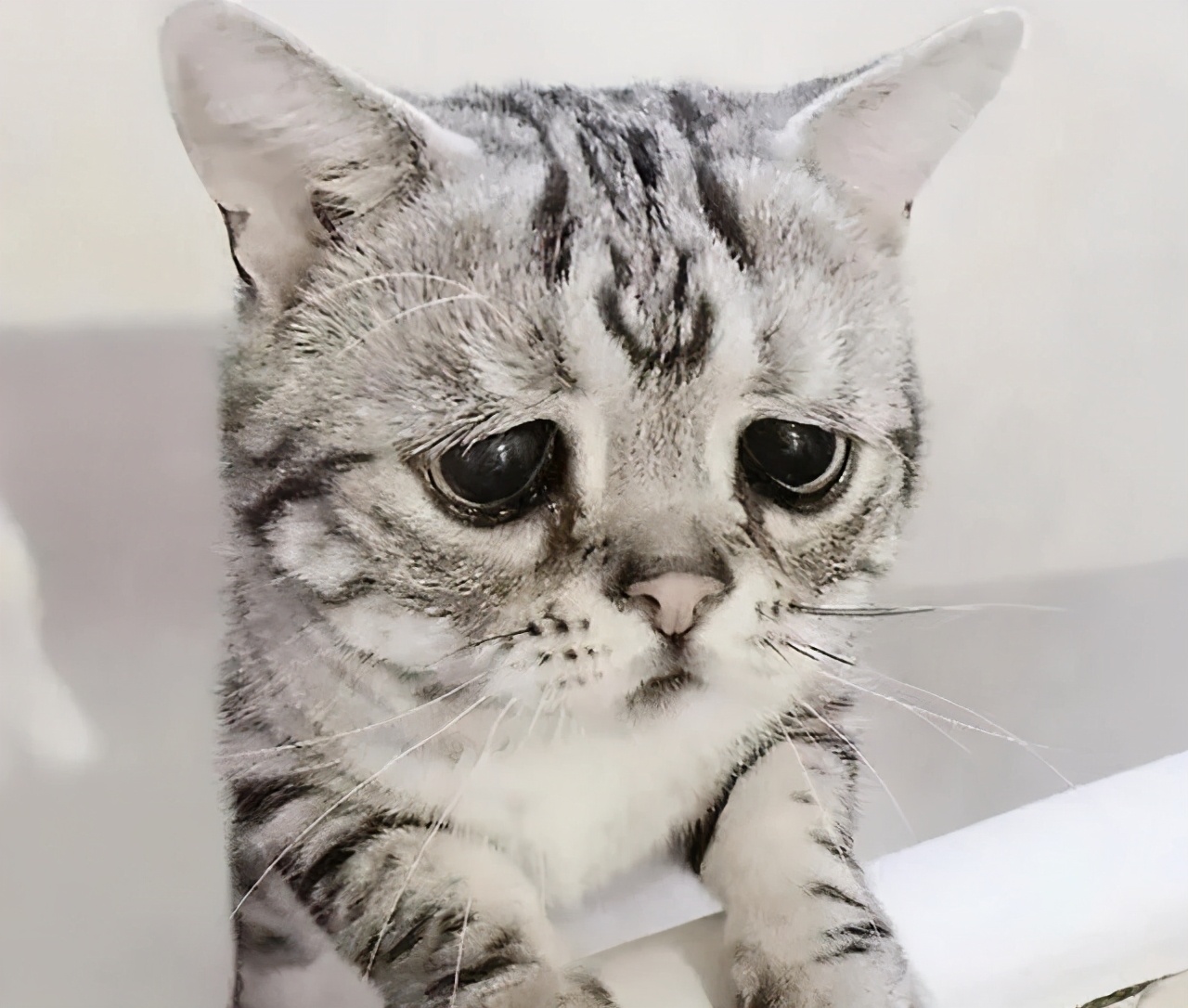 Did your clever gas disappear? 