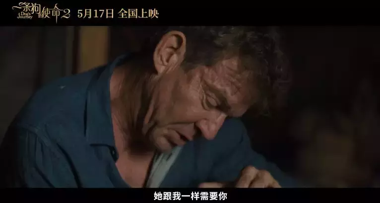 准备好纸巾!「一条狗的使命2」来了