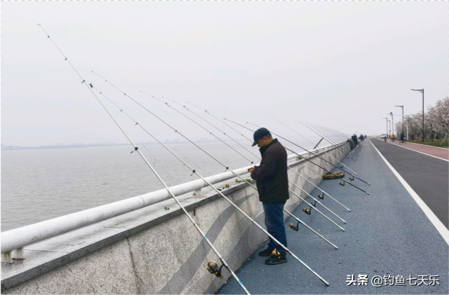 長江禁漁不是禁釣！相關規定出臺，5條原則給釣友指明瞭方向