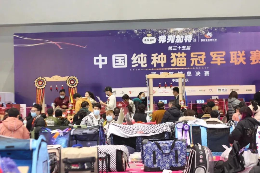 11月西部重庆展大放异彩！规模翻倍增长，开启西部宠物行业新纪元