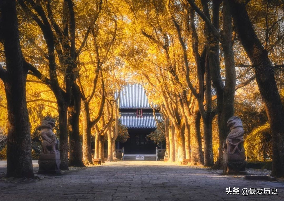 世间最动人的爱情全在里面了-第5张图片-非凡网