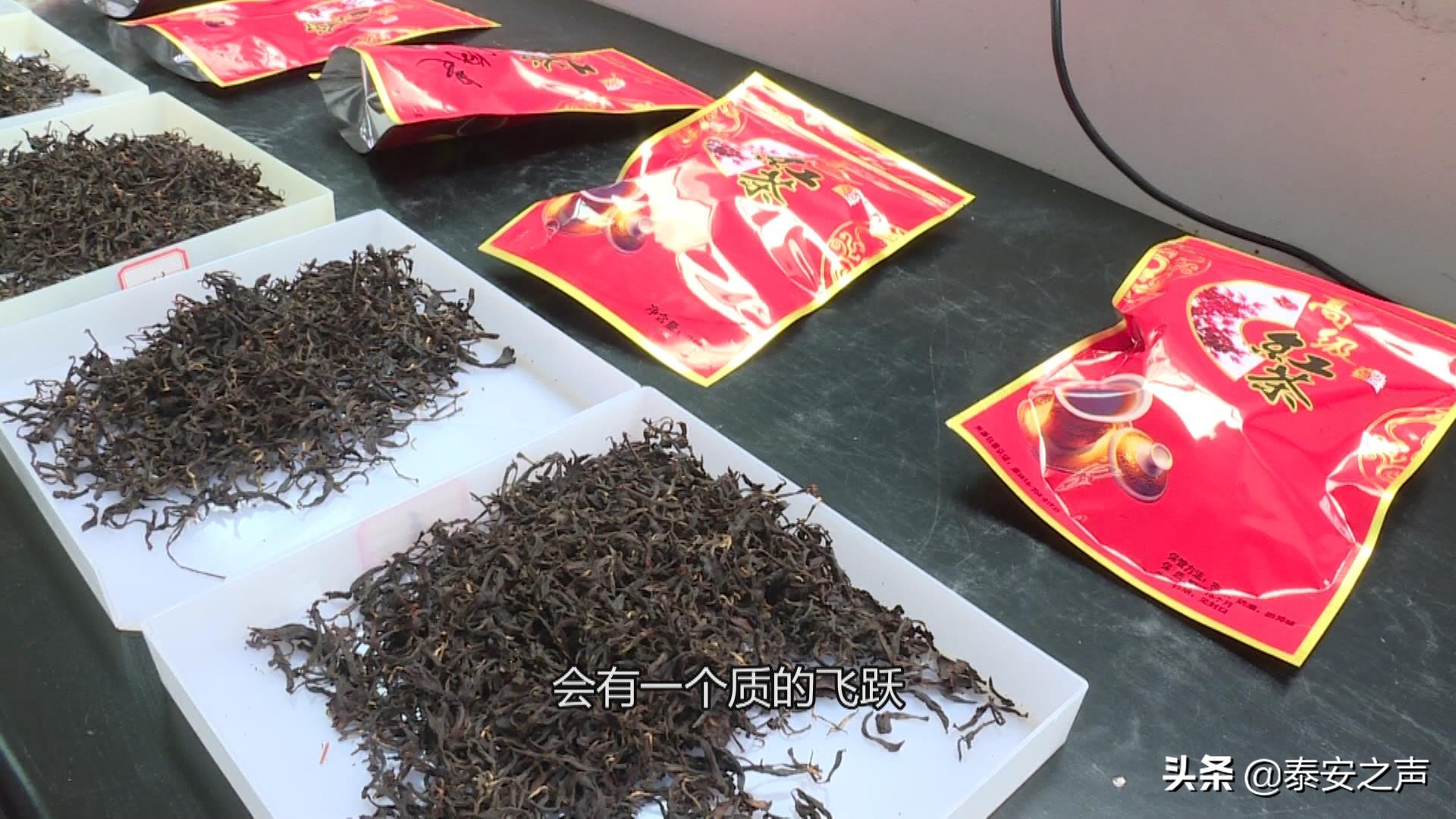 研习技艺 提升品质丨“泰山红茶”工艺研修班福建福安举办