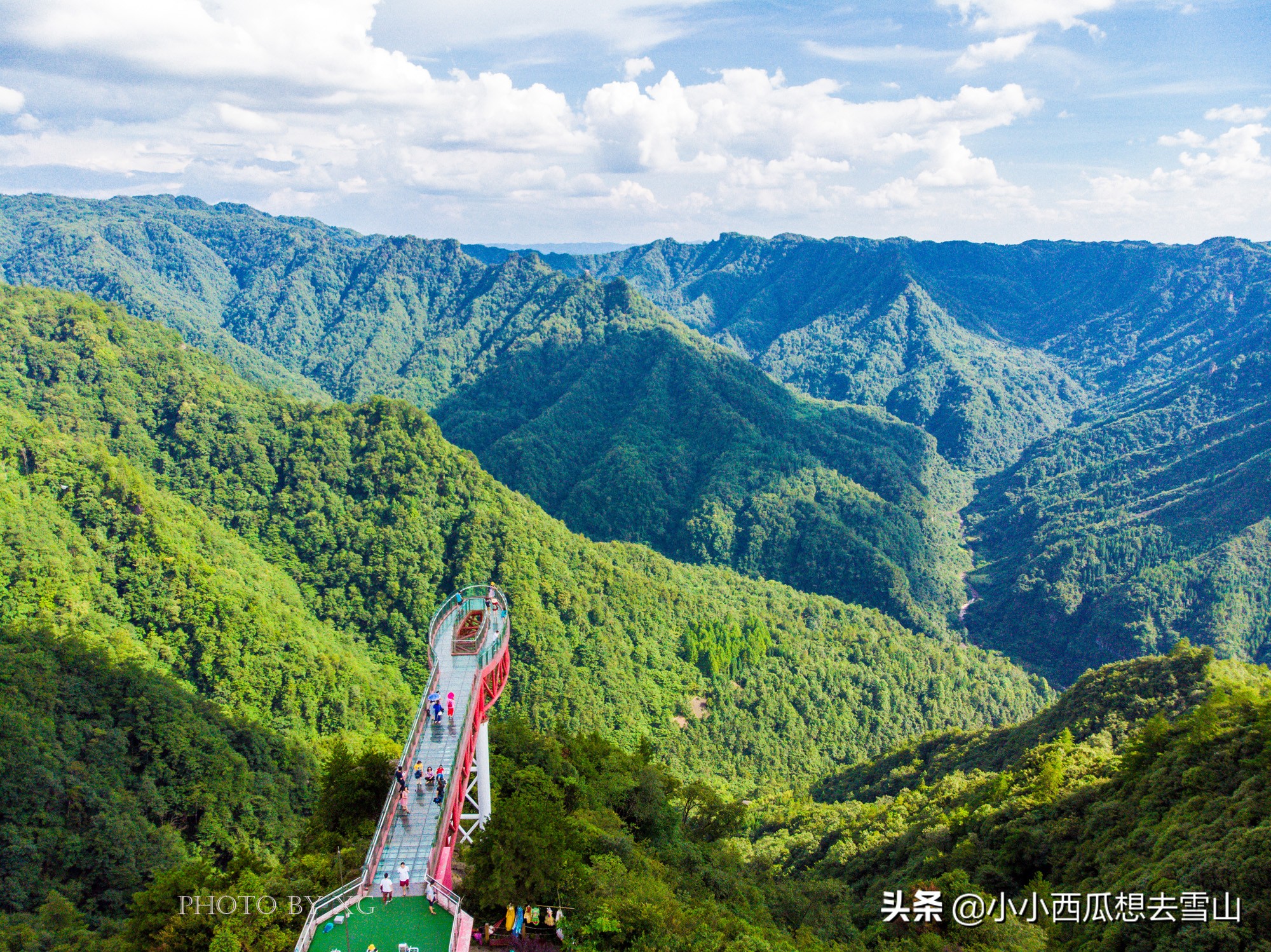 重庆最美的原始森林，是理想的避暑胜地之一，夏季平均气温在20℃