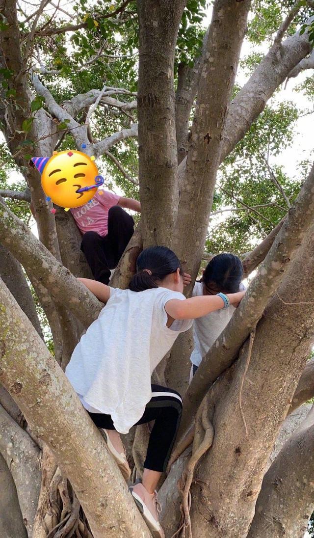 黎姿儿童节野外运动，三个女儿爬树身手敏捷，