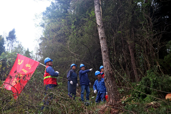 守住森林火灾的输配电线路通道“清道夫”