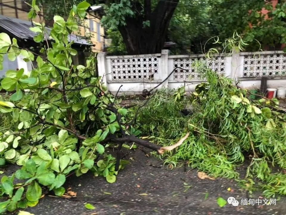 缅甸遭遇强风暴雨冰雹袭击，多个城市一片狼藉