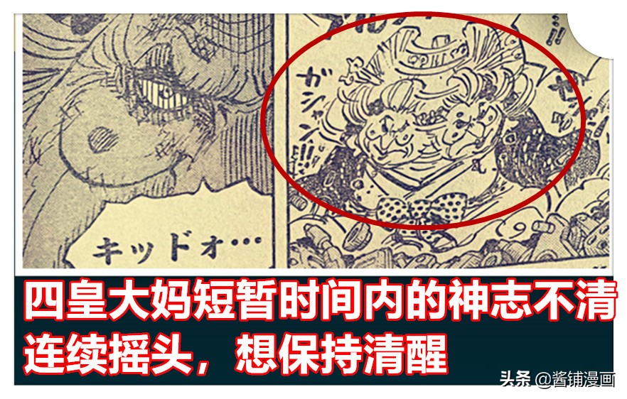 海賊王1013話，基德大逆襲讓四皇大媽流冷汗和鼻涕，還神志不清