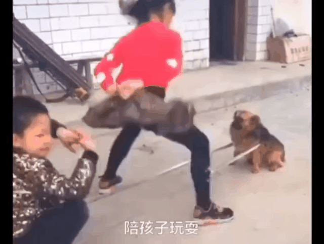 人类已经无法阻止宠物狗了……