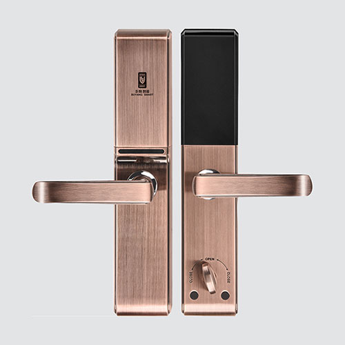 科技时代传统安全门面临淘汰,德国德盾智能安全门黑马突围