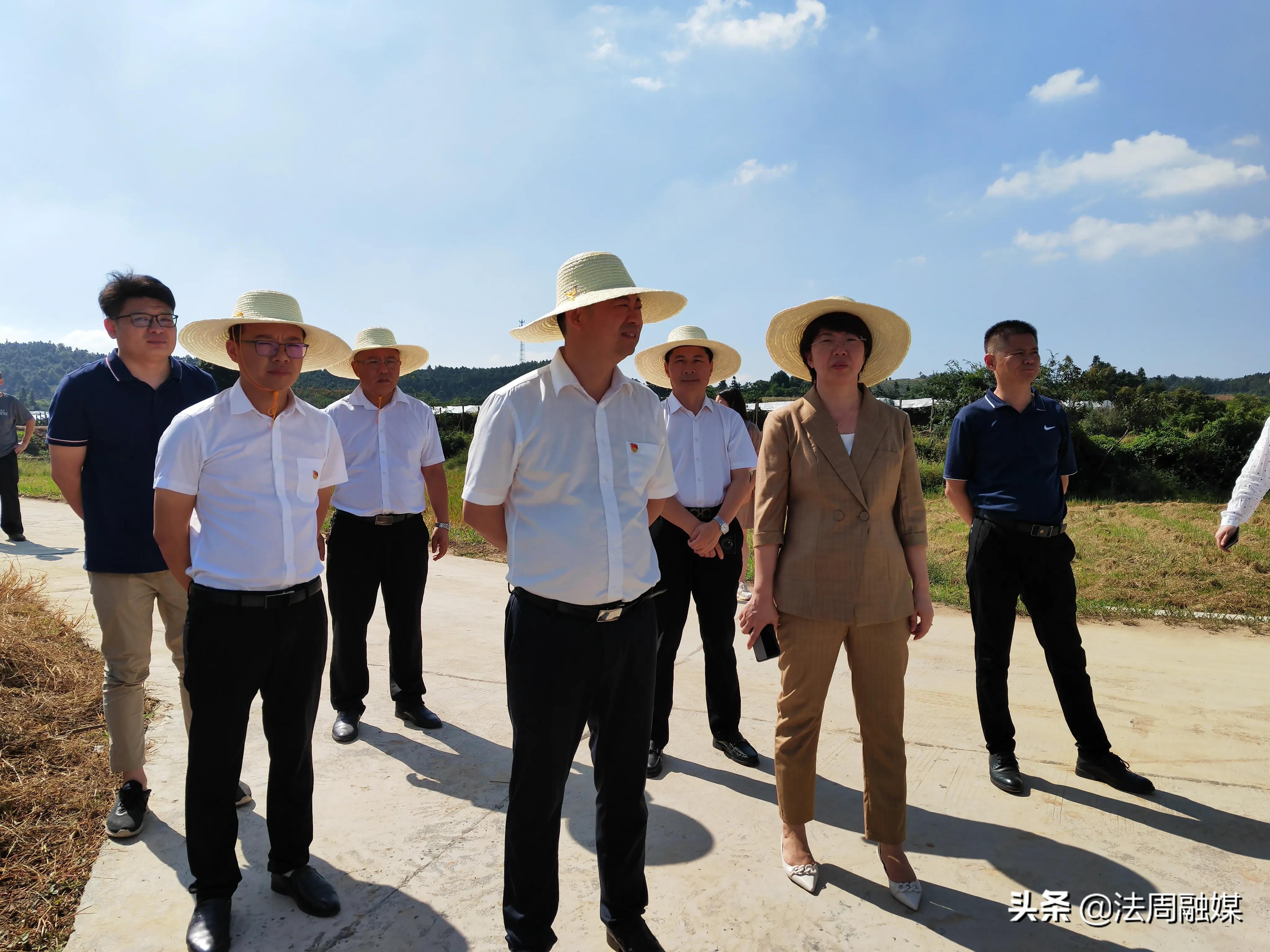 澧县县委书记王兆铭率队观摩澧南镇乡村振兴推进情况