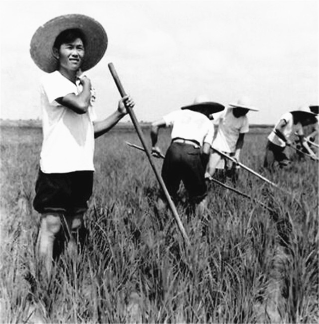 河南农民收留日本伤兵，当亲人供养47年，对方回国后如何报答？-第6张图片-大千世界