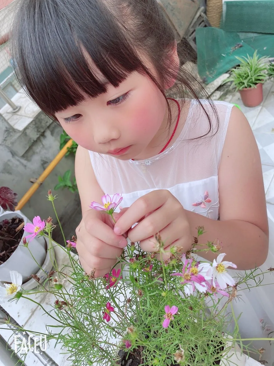 成都高新区中和小学开展“种植劳动”主题课程