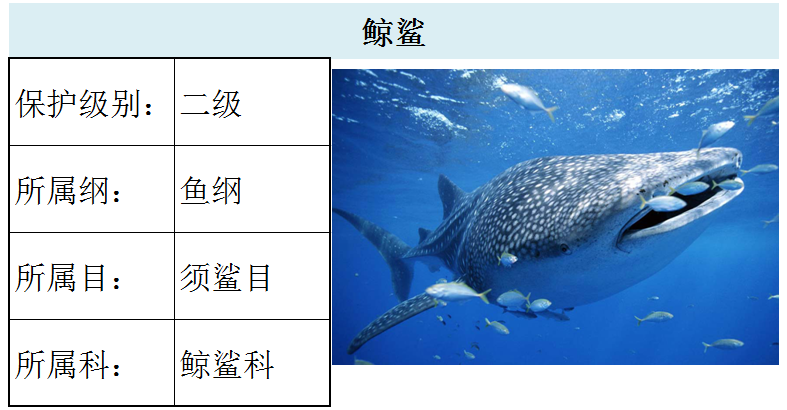 国家最新水生野生保护动物名录（共计三百余种），第2期