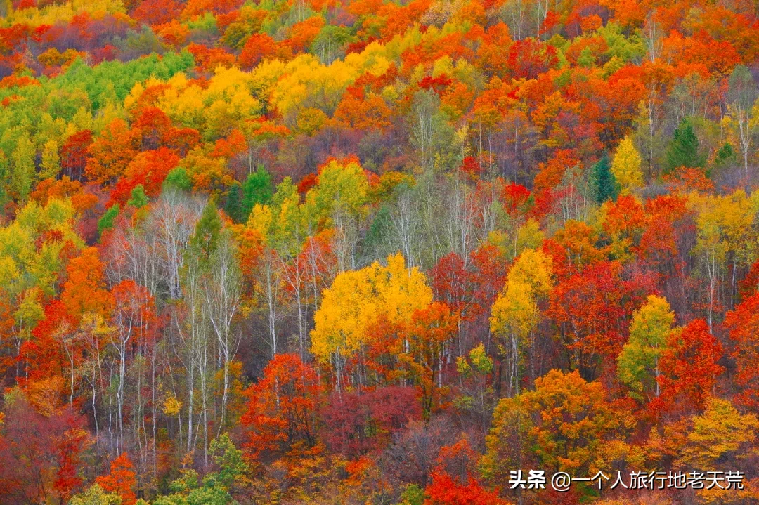 这些藏着初秋最美风光的绝美宝藏地，是你9月你绝不能错过的风景