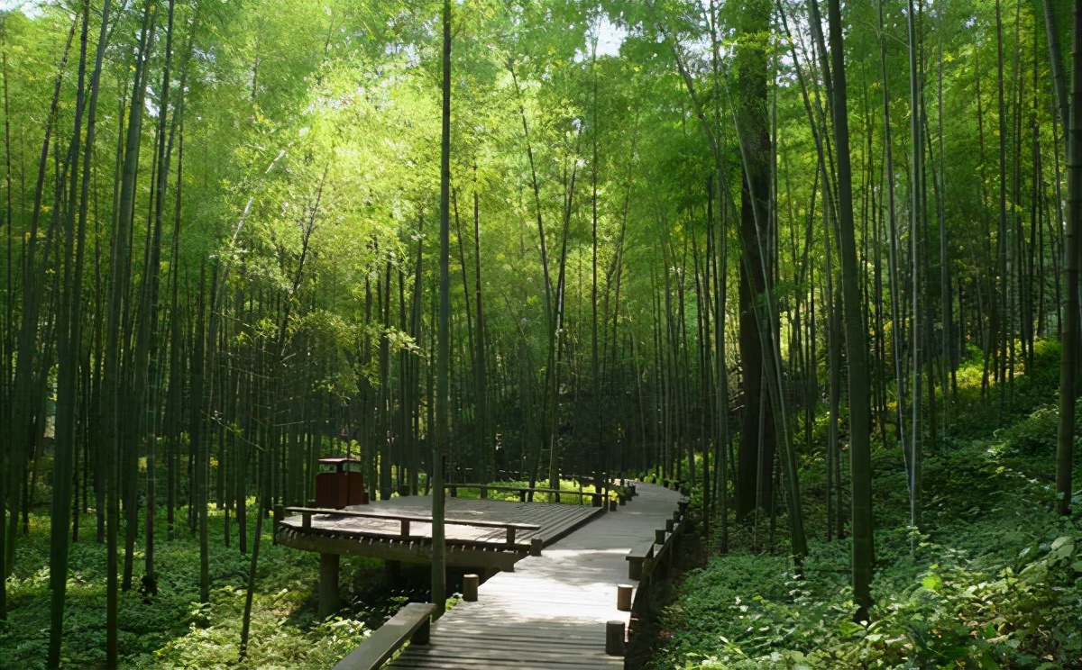 盤(pán)點(diǎn)園林景觀(guān)設計常用的各類(lèi)植物和材料，讓設計師不再迷茫