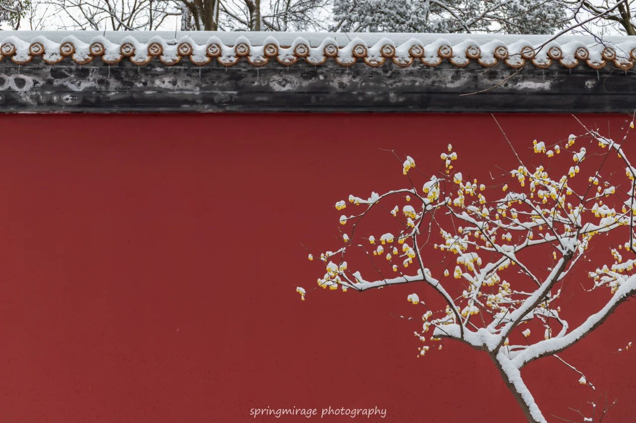白居易笔下的冬天，美到极致，暖到极致-第8张图片-诗句网