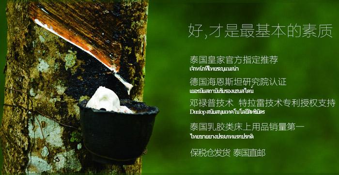 生而为人，我很抱歉。但你还能选择泰国皇家国王乳胶枕