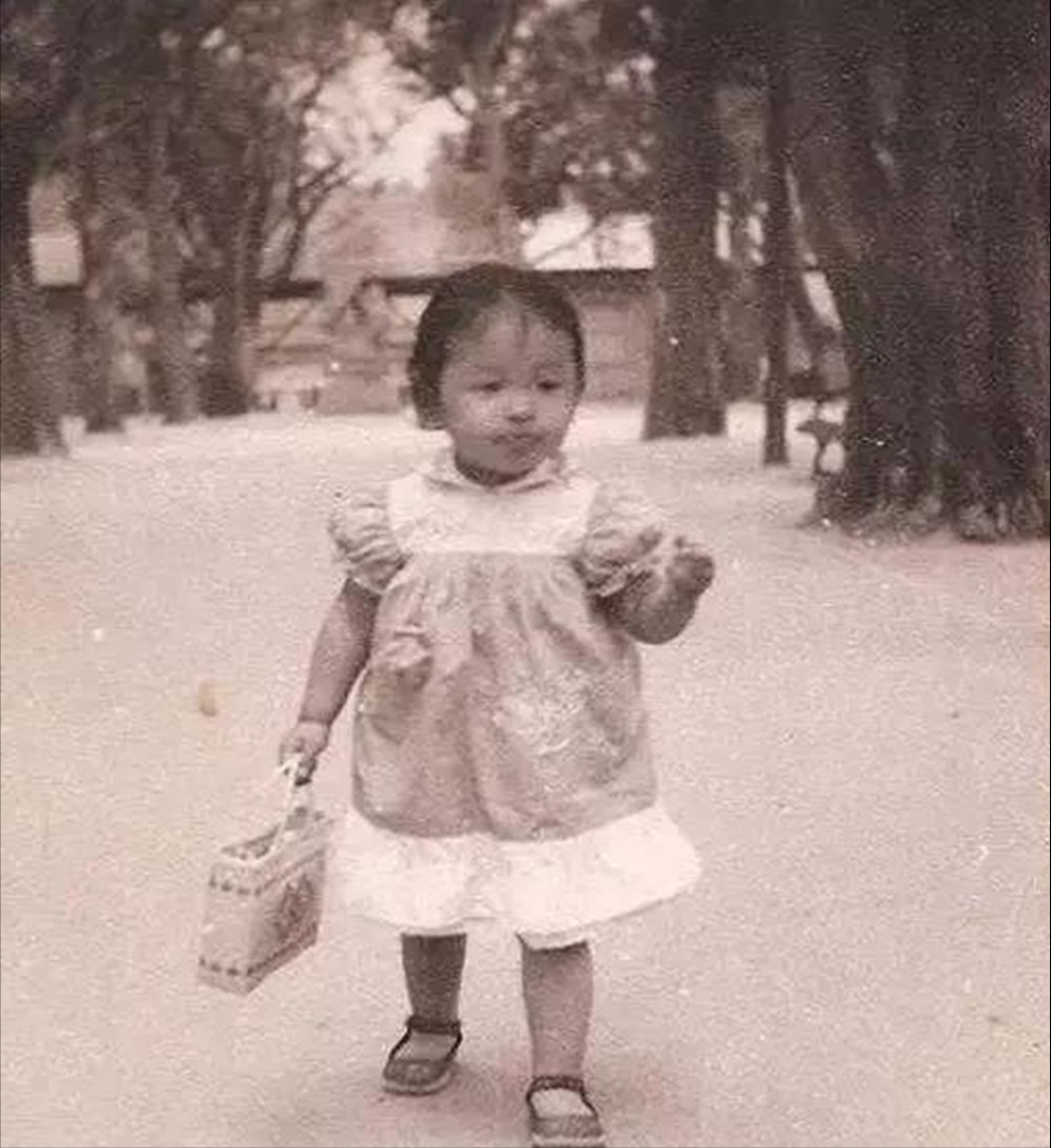 韩红：幼年丧父母亲改嫁，与王菲爱上同一男人，如今穷到令人钦佩