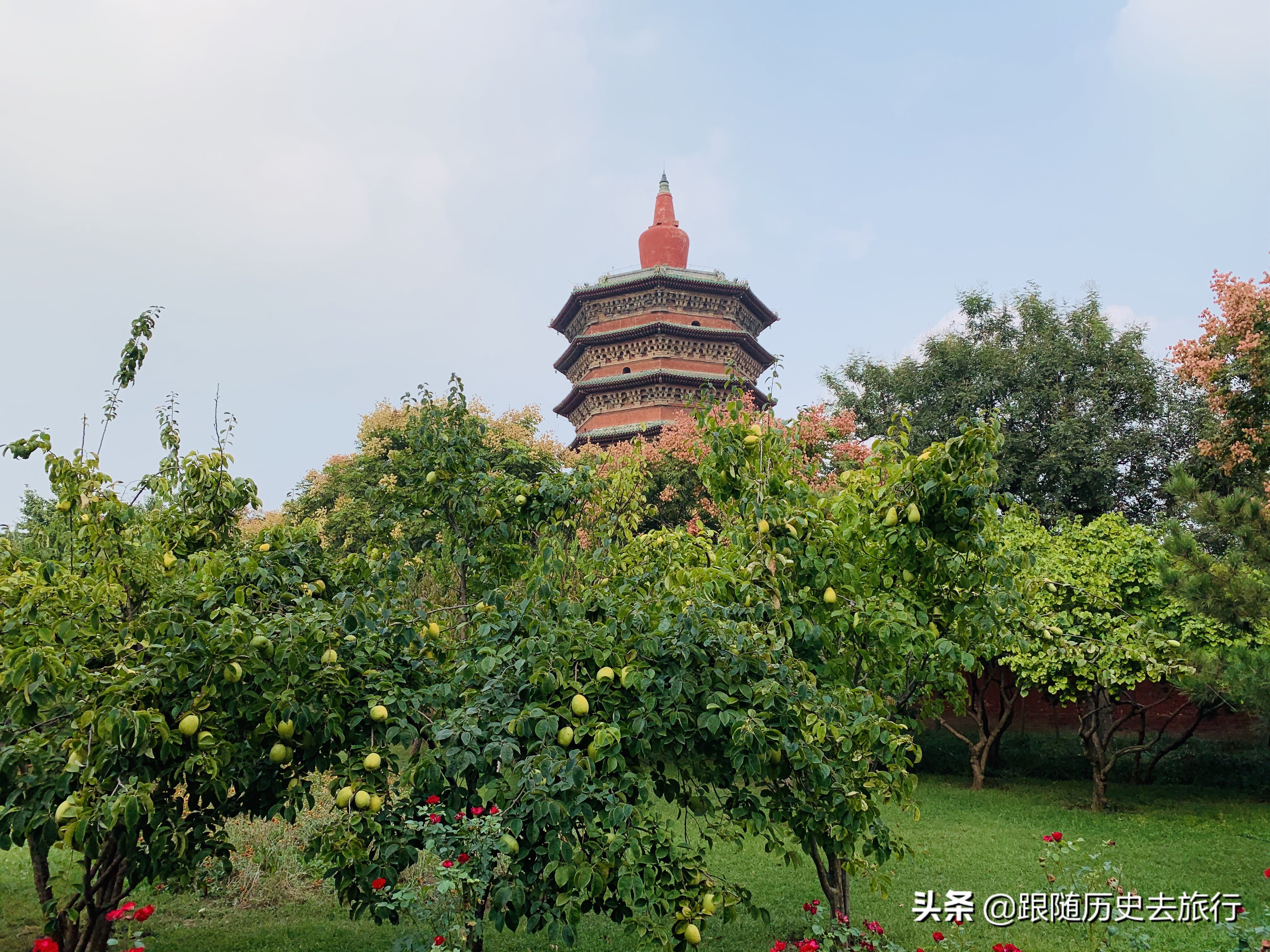 河南这座低调古城 颜值高物价低假期别错过 新旅游 旅游频道 中报网