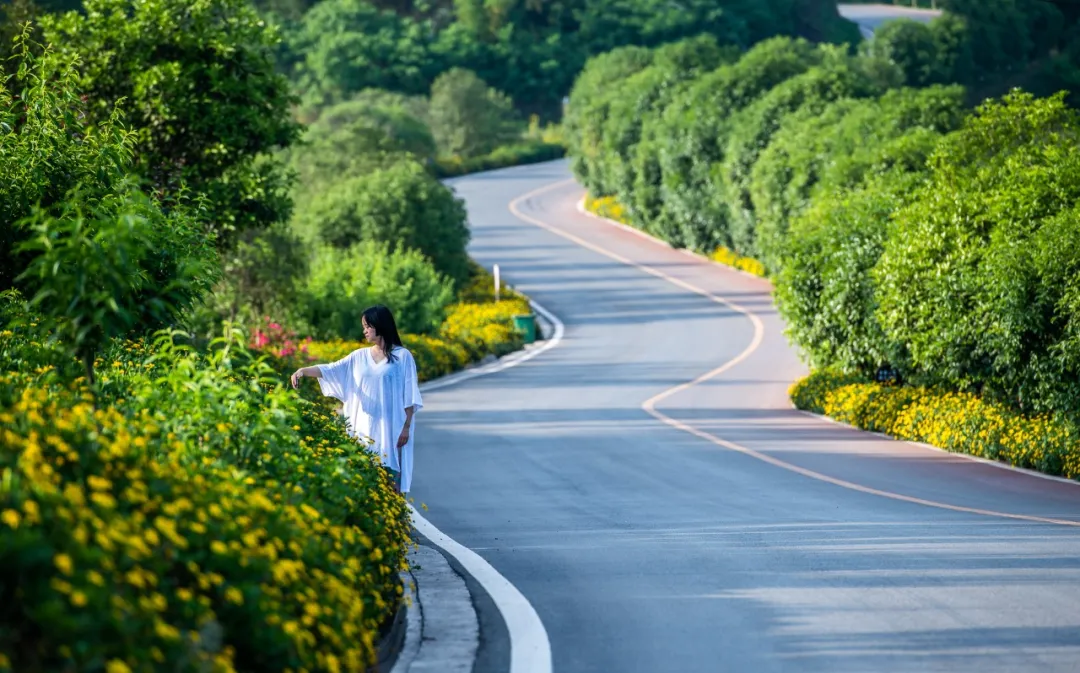 铜梁.龙乡绿道:在巴岳玄天下延展超级步行重庆的新可能性