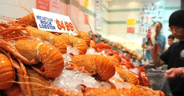 ����Ա�Ĵ����й���ս���й�û��Ȥ���ı���ʳ���