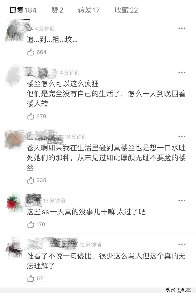 Ma Jiaqi tomb-sweeping day comes home ancestor of hold a memorial ceremony for however as before by bastard chase after pat, he all along gentle also is driven beyond forbearance