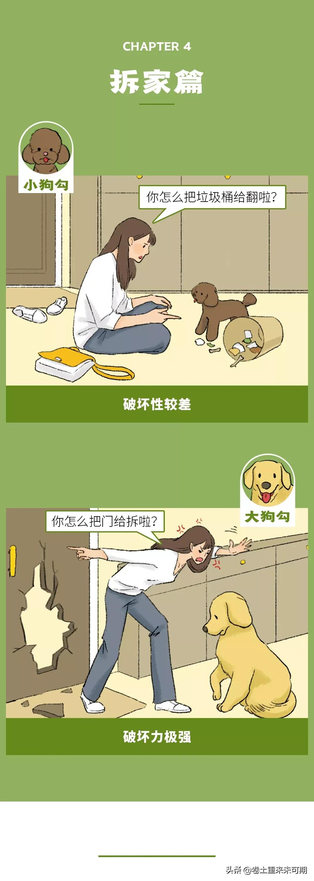 漫画：女生养大狗，对男朋友有什么坏处？