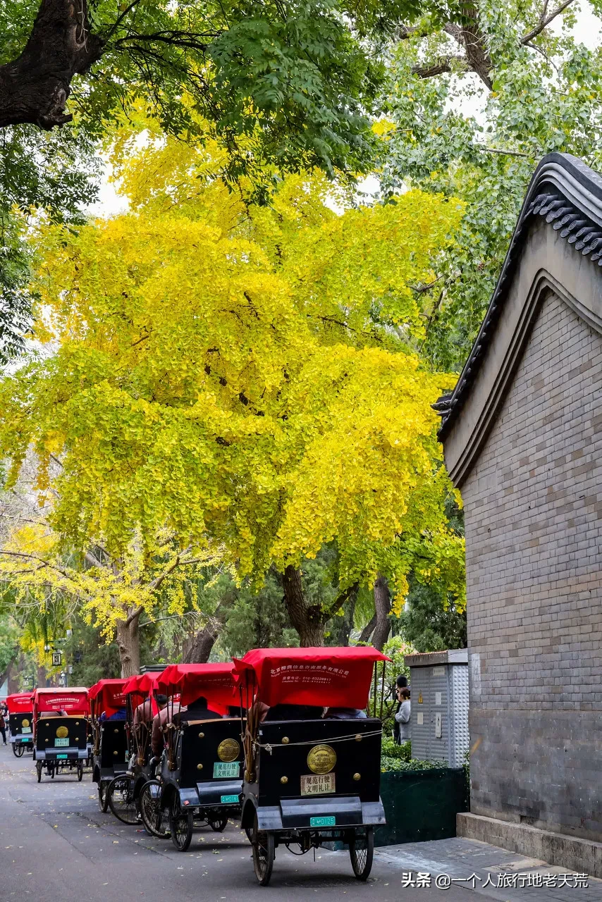 一入秋，最地道老北京突然刷爆朋友圈