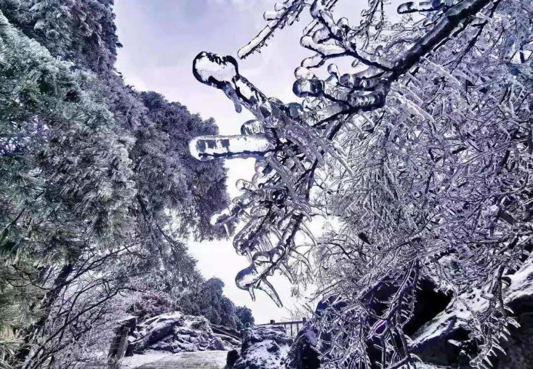 《你好，李焕英》鸡公山景区对所有女神免门票啦！