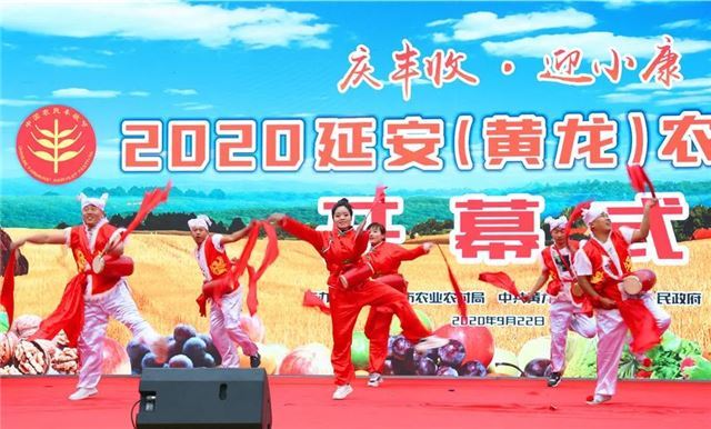 2020延安(黄龙)农民丰收节盛大启幕