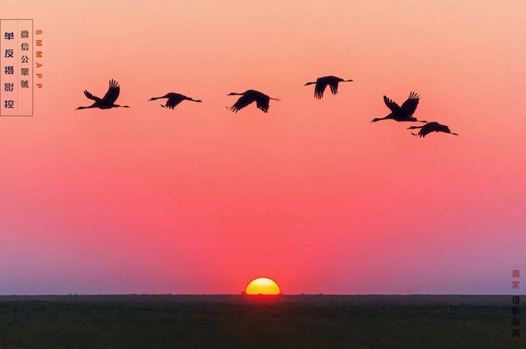 How does sunrise sunset film ability gives prize? 3 measure, give a beauty to explode! 