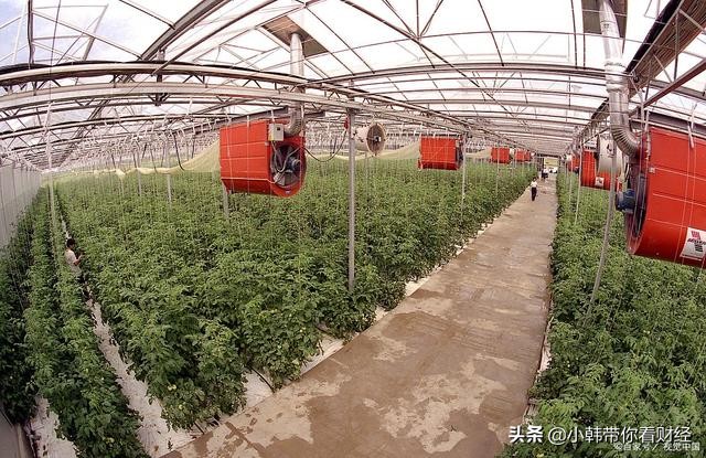 种业“十四五”规划发布！5龙头股或迎市场关注