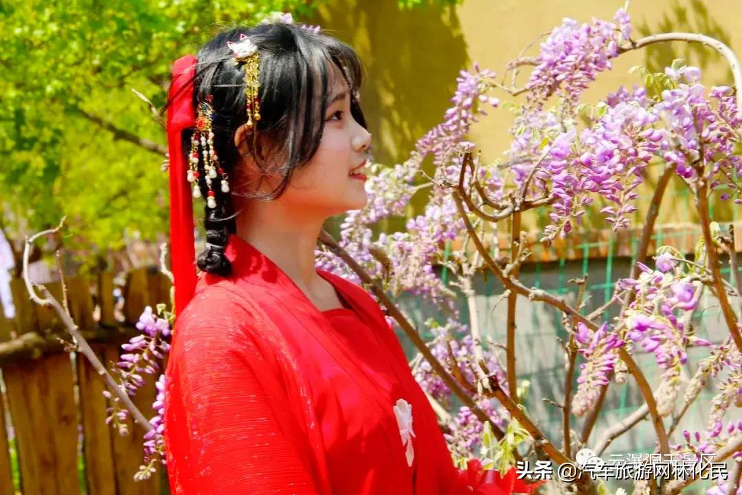 云瀑洞天，周六紫藤美食 · 汉服文化节，这类人群门票免费