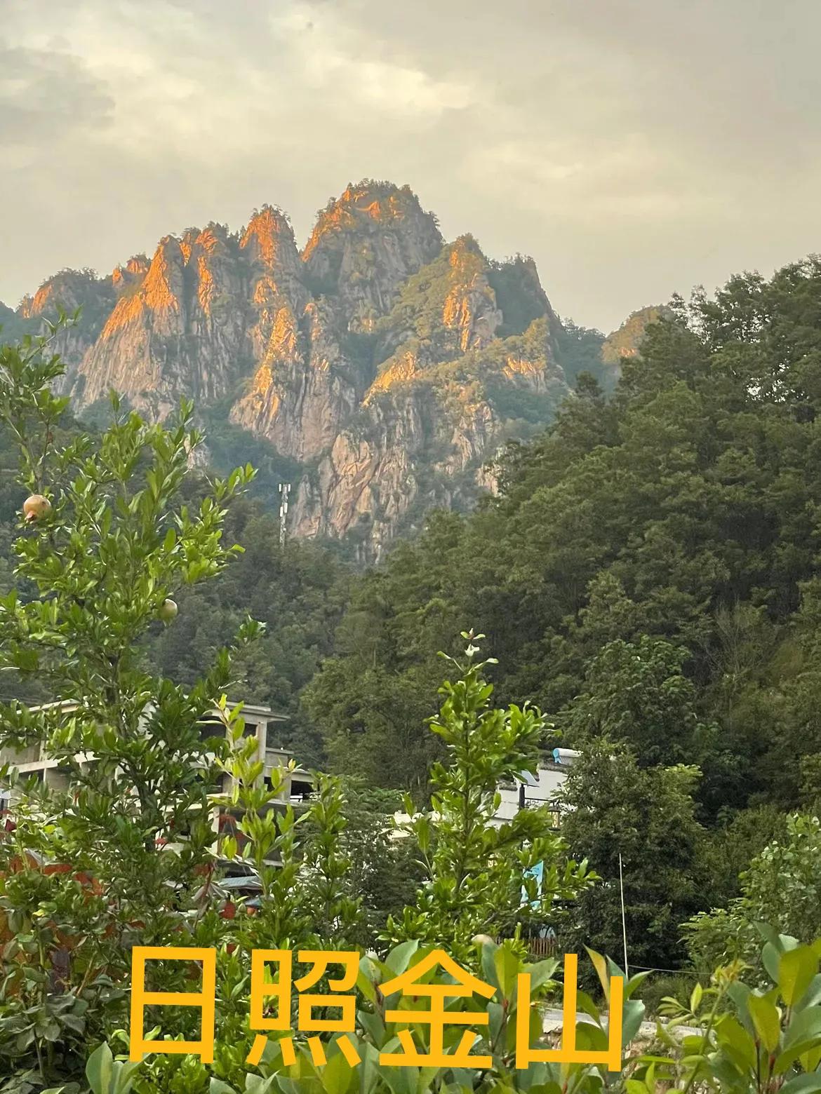 未来普通人财富增长的五个赛道