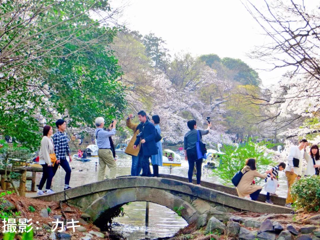 疫情下的日本2 0 2 0