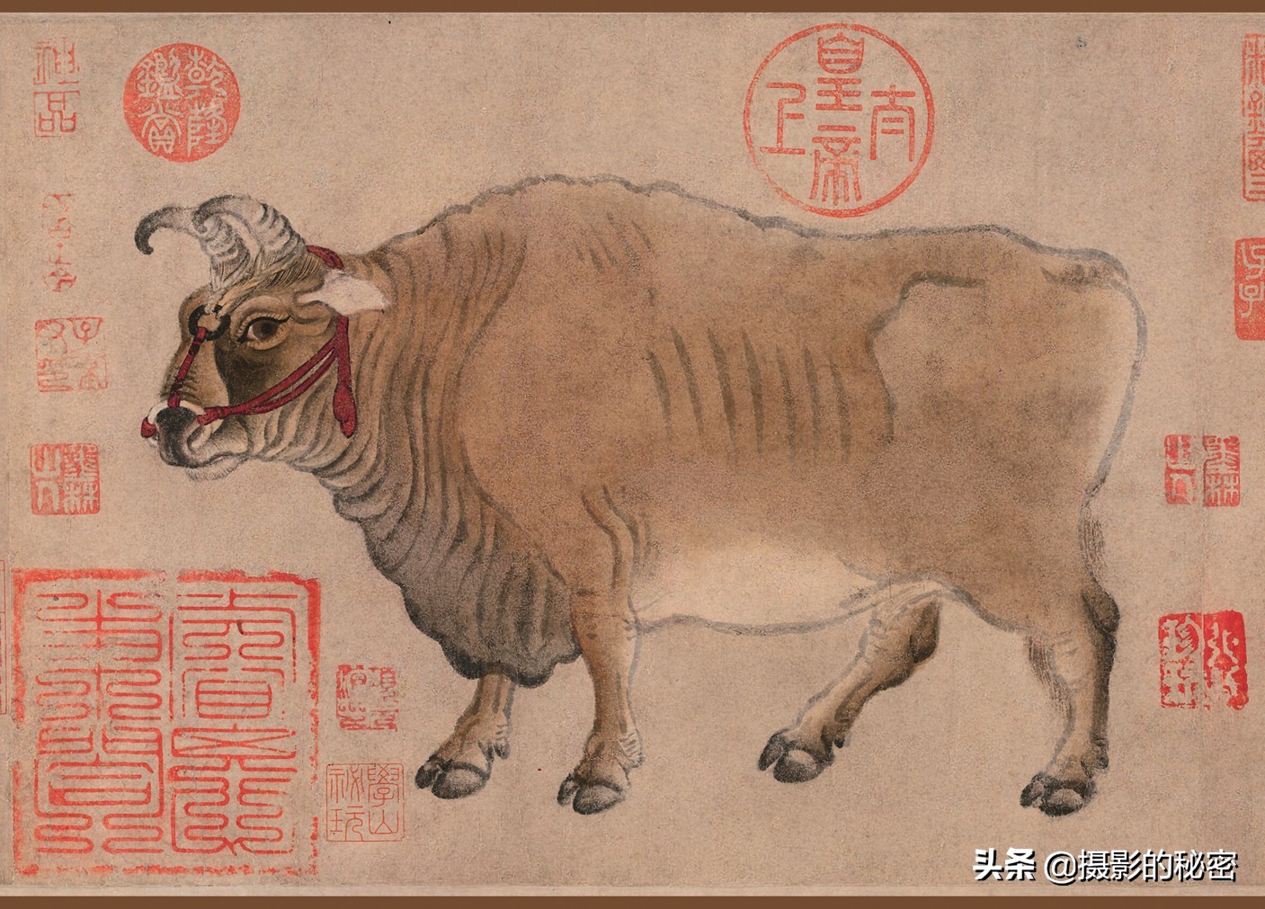 画中话06中国最早的纸本画五牛图究竟有多牛