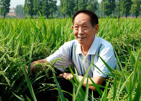 比芯片卡脖子更可怕,美顶尖芯片专家多是华人?国内高校出手了