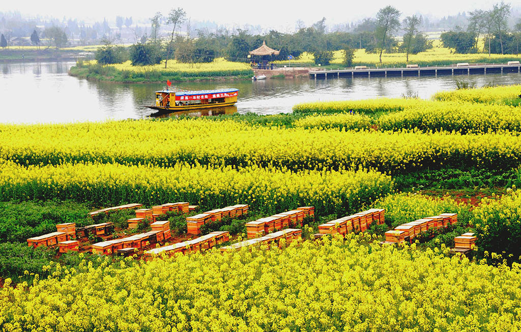 重庆有座非常适合养老的小城，盛产绿色蔬菜与柠檬，被誉六养胜地