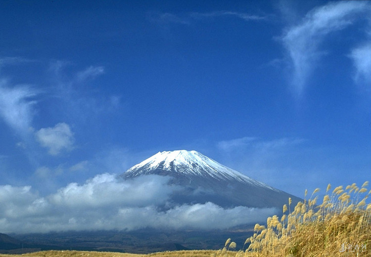 日本留学之理科大学top10 日本留学考试网