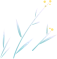 ⷨԷհ¶