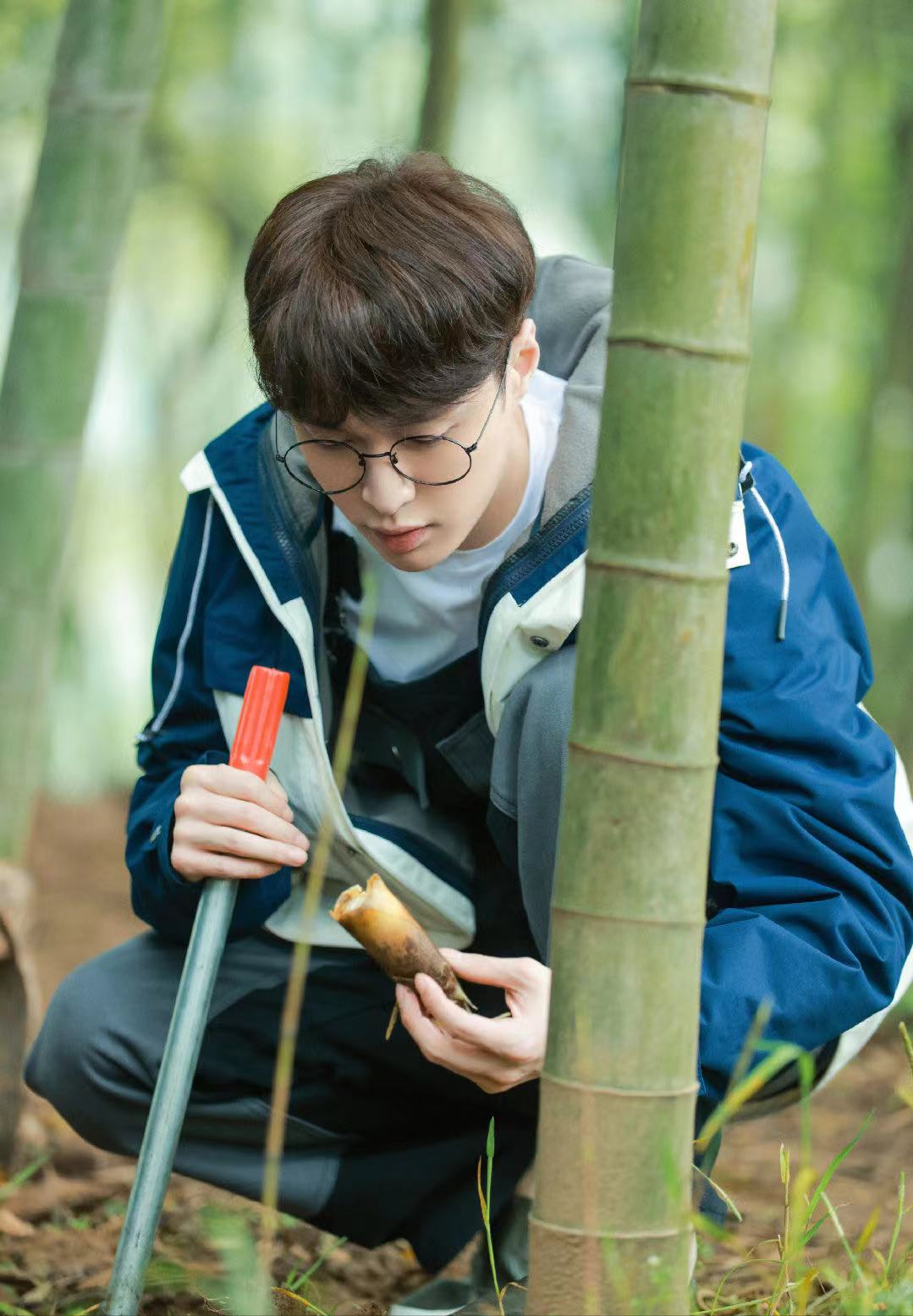 杨紫张艺兴唯粉阻止磕CP：两天端掉11个超话，网友：败坏路人好感