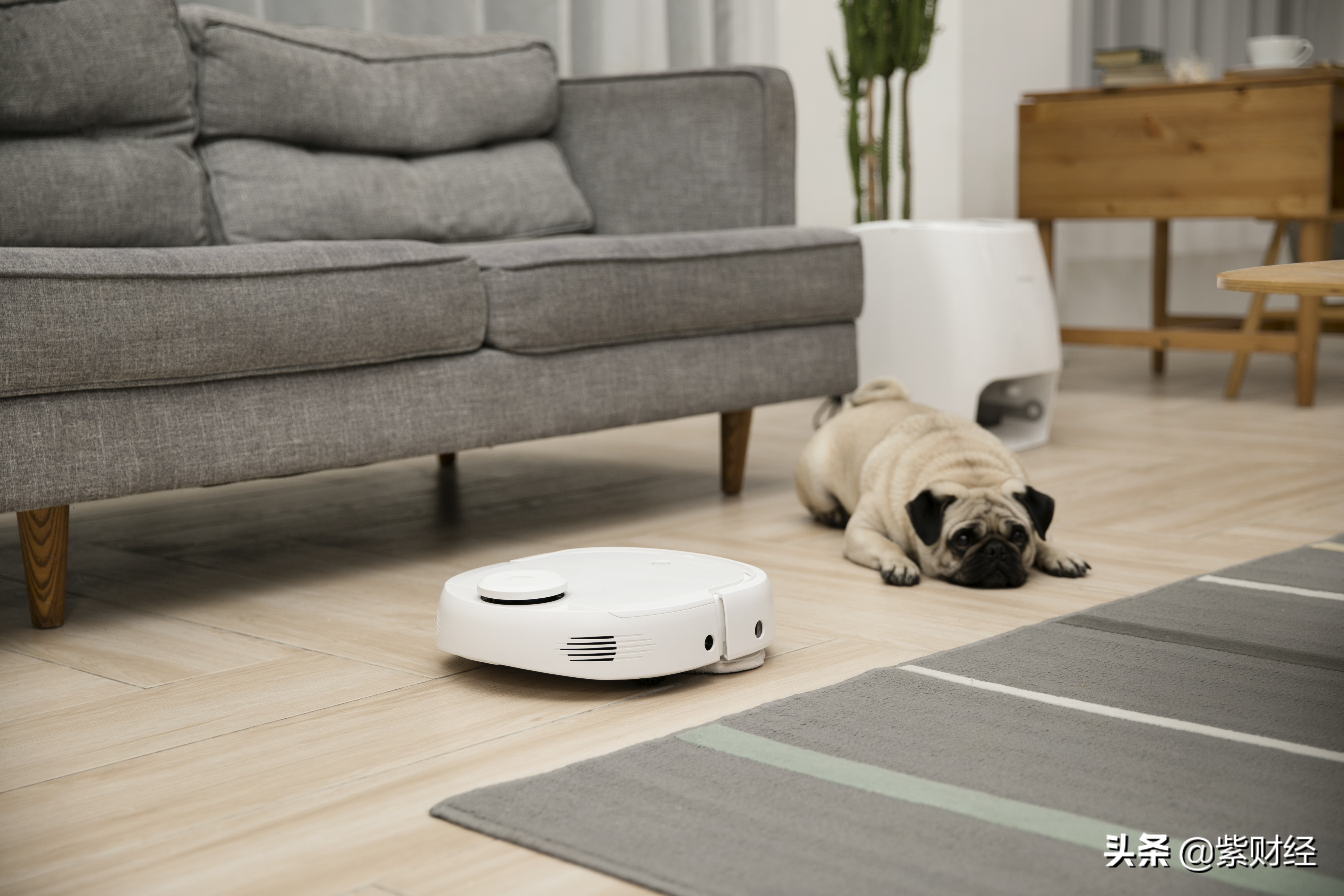 上海交大毕业，抄袭竞争对手，上榜福布斯精英