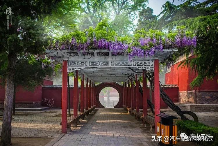 「泰安」中华泰山（含上乘观光车）一日游